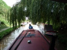 Coming through willows on the Middlewich
